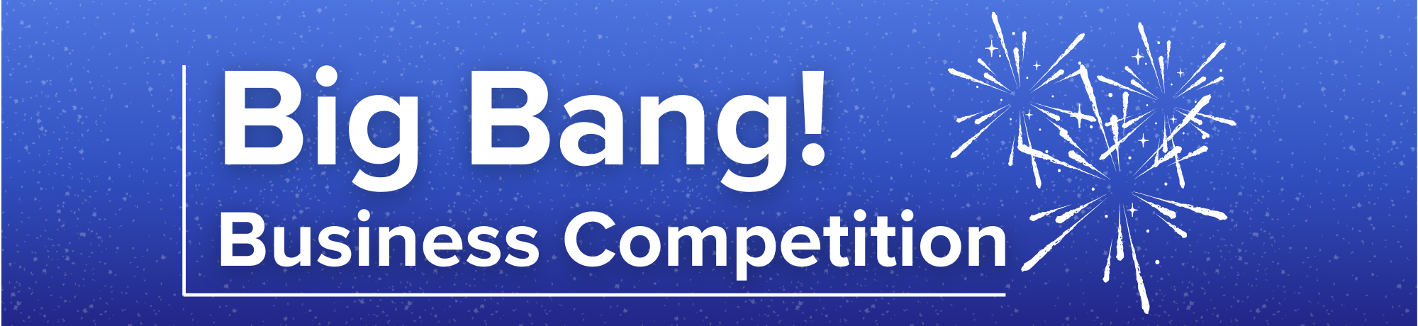 Big Bang! Business Competition — Winner 2016
